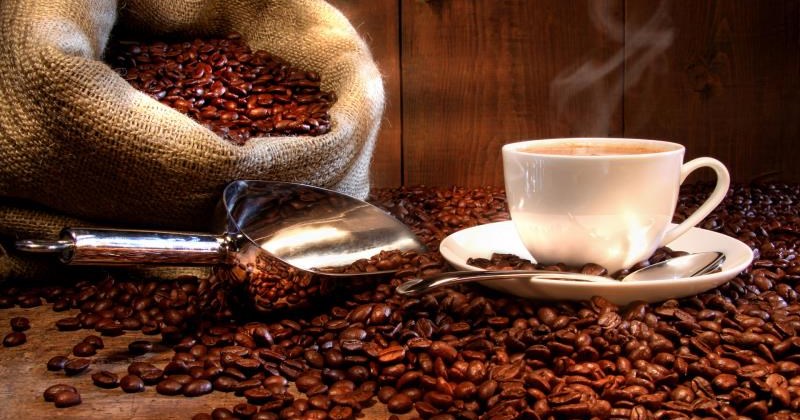 Ekol Kahve Gıda Maddeleri Sanayi Ve Ticaret Ltd.Şti.