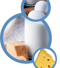 Ga-Ye Süt Ürünleri