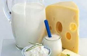 Faroz Süt Ürünleri