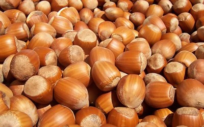 Mehmet Soytürk - Alaybeyoğlu Komisyon Ve Ticaret