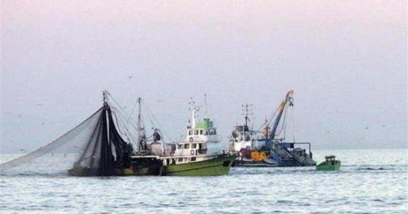Şahin Balıkçılık Su Ürünleri Avcılığı Ticaret Ltd.Şti.