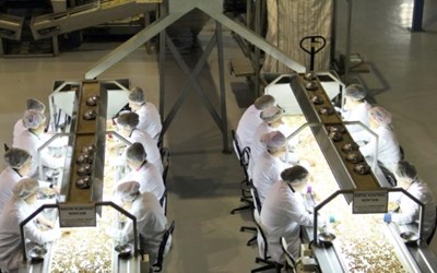 Hakkı Volkan Seymen