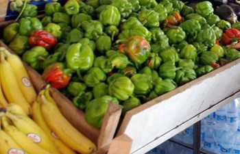 On Gıda Ticaret Ve Sanayi A.Ş. - Kalkınma Şubesi