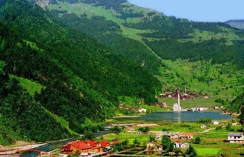 Uzungöl Doğa Turizm Nakliyat Hizmetleri Ticaret Ltd. Şti.