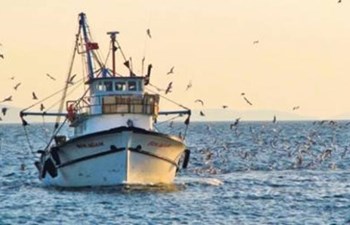 Sınırlı Sorumlu Beşikdüzü Su Ürünleri