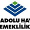 Anadolu Hayat Emeklilik A.Ş.