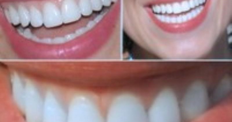 Oral Dental Diş Labaratuarı İnşaat Taahhüt Pvc Plastik Doğrama