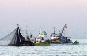 Ulucan Balıkçılık