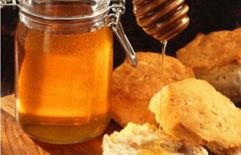 Tabip Gıda Doğal Ürünler Arıcılık Ticaret Ltd. Şti.