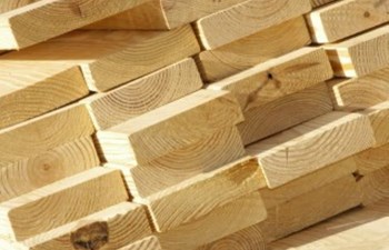 Sahil Orman Ürünleri