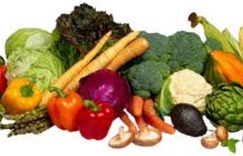 Oğuz Kağan Gıda Ticaret Ltd. Şti.