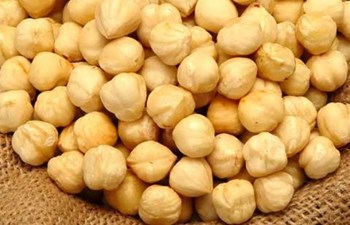 Yomra Fındık Gıda Sanayi İnşaat Nakliyat Ticaret Ltd. Şti.