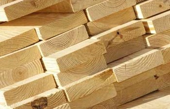 Kıyı Orman Ürünleri