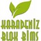Karadeniz Blok Bims