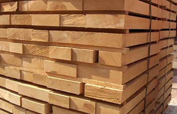 Taşlı İnşaat Orman Ürünleri Turizm Sanayi