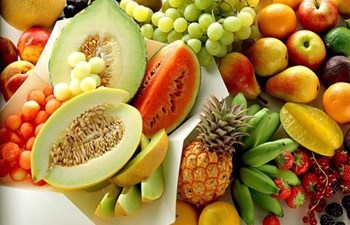 Selina Gıda Maddeleri Turizm İnşaat Taahhüt Temizlik