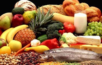 Can Gıda Ve İhtiyaç Maddeleri Ticaret Ve Sanayi Ltd. Şti.