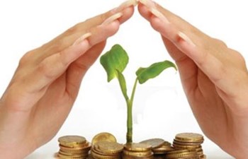 Ekonomi Sigorta Brokerlik Hizmetleri