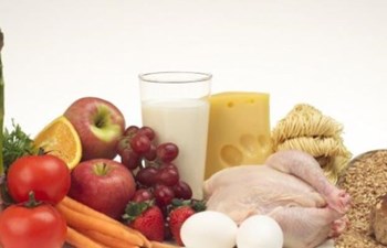 Kaan Gıda Sanayi İnşaat Ve Ticaret A.Ş.