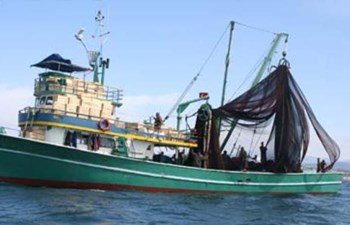 Kibar Deniz Ürünleri Gemi Acenteliği T