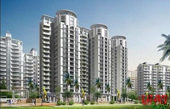 Oluşum İnşaat Ve Ticaret Ltd. Şti.