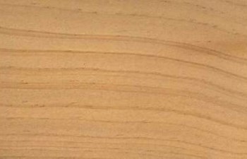 Trabzon Orman Ürünleri