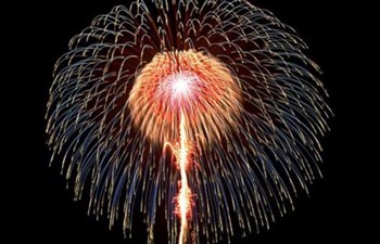 Bilginler Koll. Şti. - Zekeriya Habiboğlu Ve Ortağı