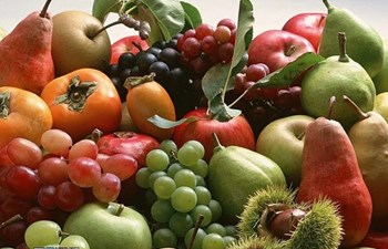 Hakan Seymen Ve Ortakları Gıda Ve Sanayi Ürünleri Pazarlama İnşaat Taahhüt Ticaret Koll.Şti.
