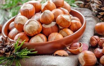 Trabzon Fındık Tarım Satış Kooperatifi