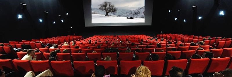 Mars Sinema Turizm Ve Sportif Tesisler İşletmeciliği A.Ş.