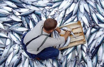 Yakamoz Su Ürünleri Yetiştiriciliği Ticaret Ltd.Şti.