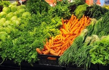 Sami Sağlam - Sağlam Komisyonculuk