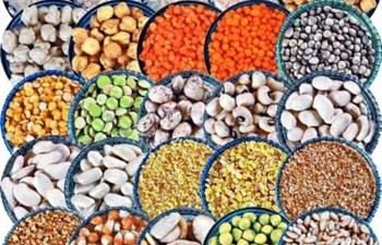 Yavuz Gıda - Fazlı Yavuz