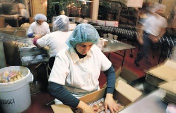 Yıldırım Yemek Güvenlik Temizlik Hizmetleri Ve Ticaret Ltd. Şti.