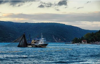 Sabırhan Balıkçılık