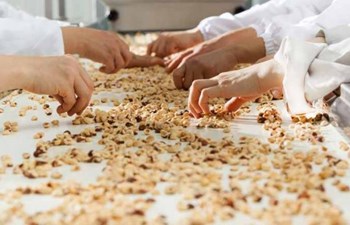 Trabzon Entegre Fındık